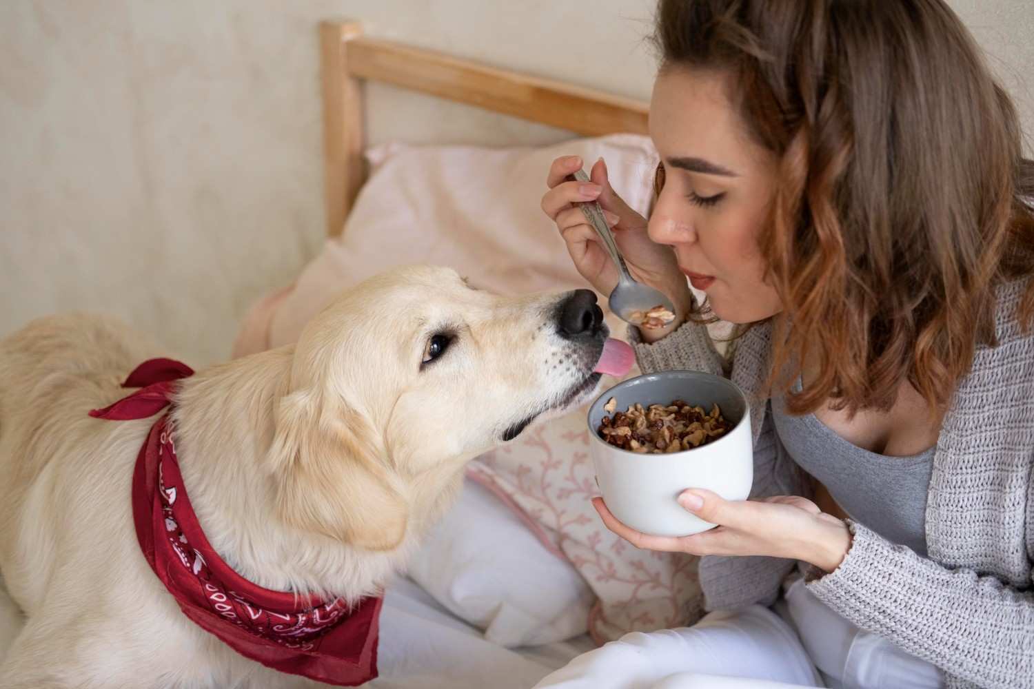 Hypoallergenic Dog Food