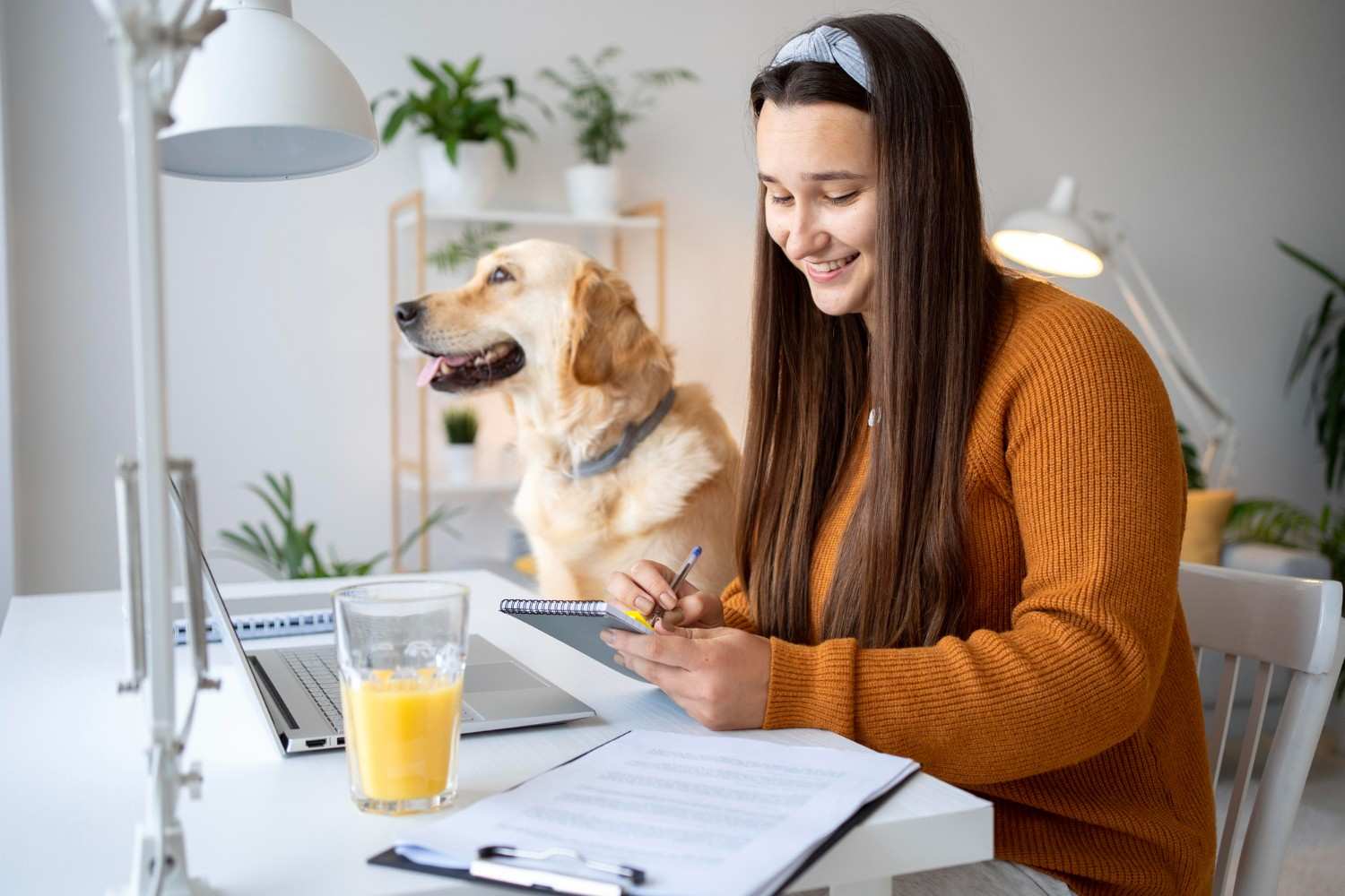 Renters Insurance Pet Coverage