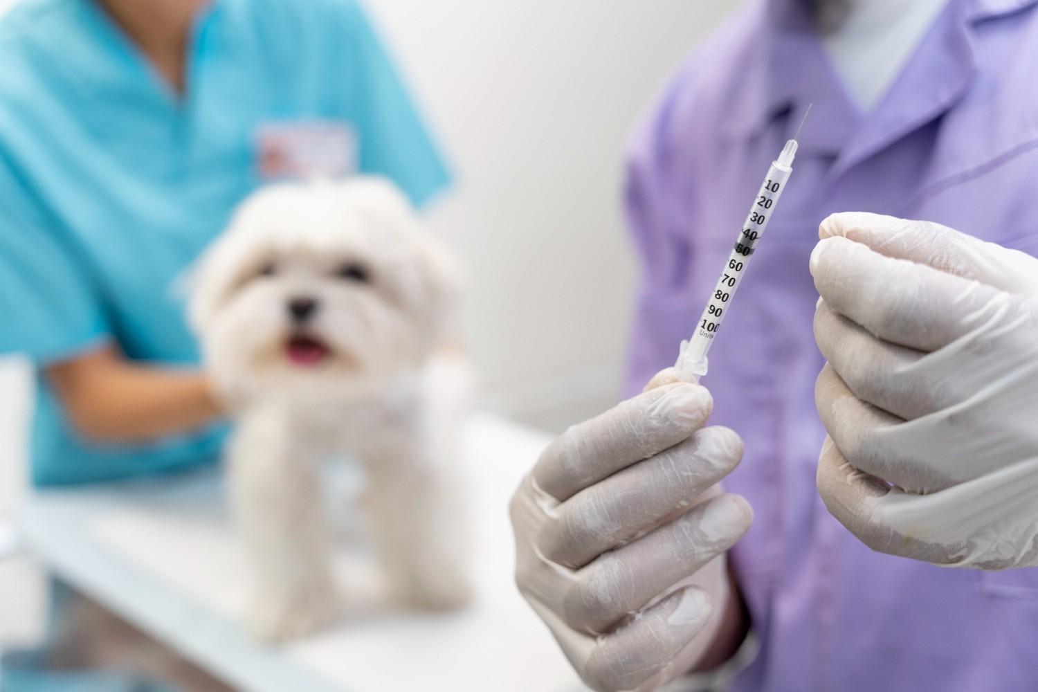 dhpp vaccine for dogs