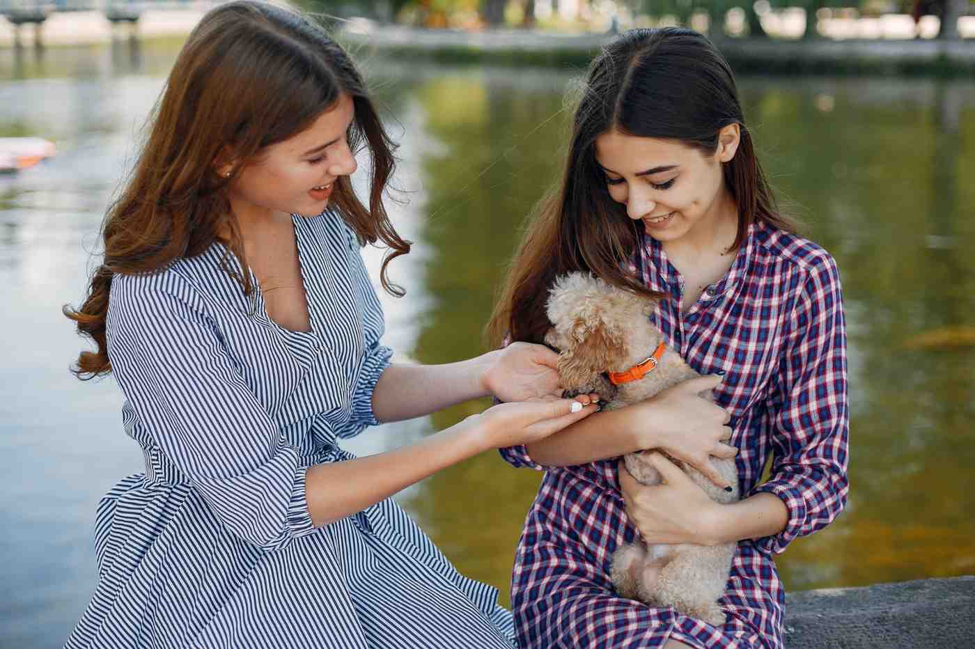 Pet Care Advice