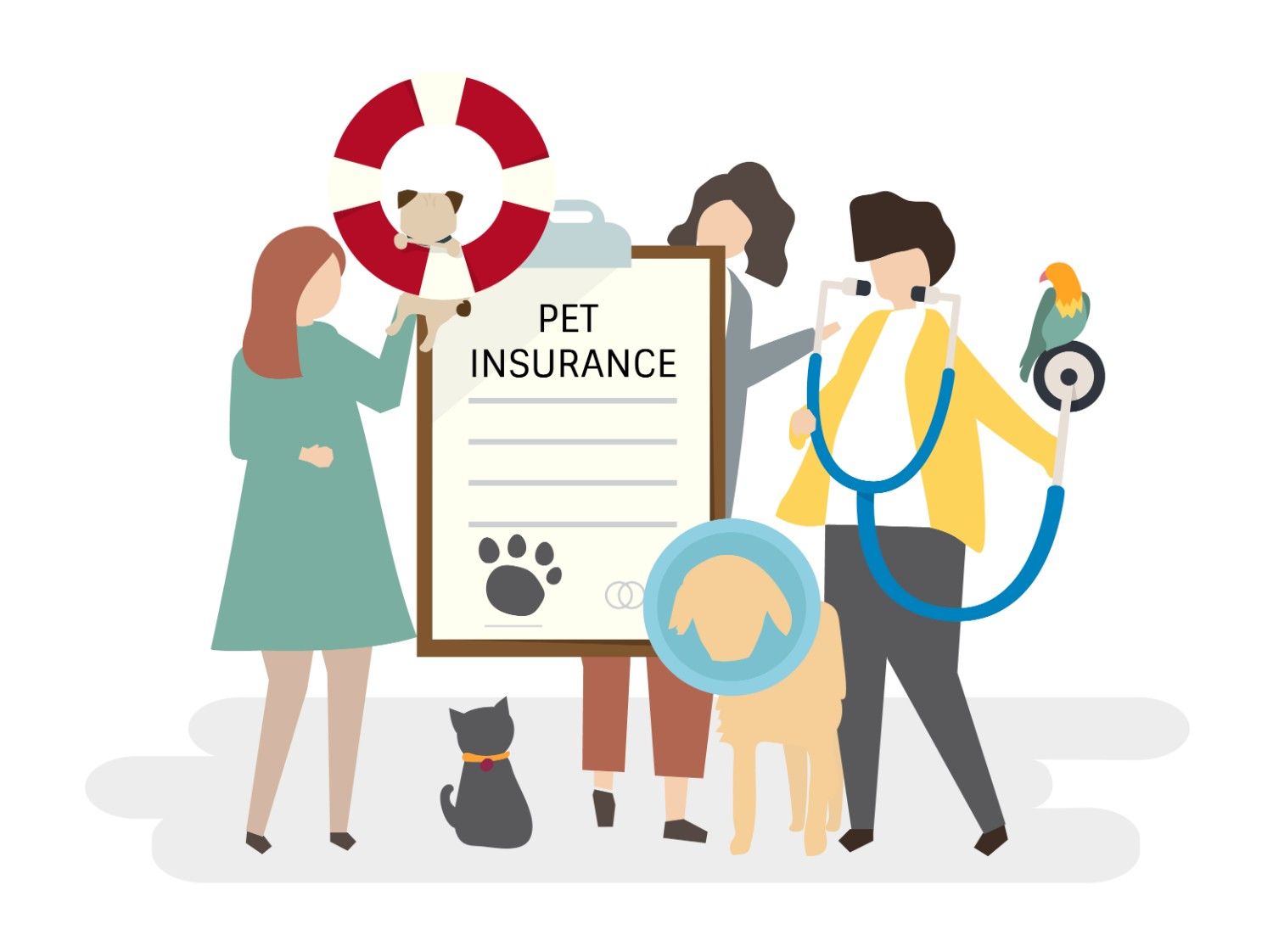 Accident-Only Pet Insurance