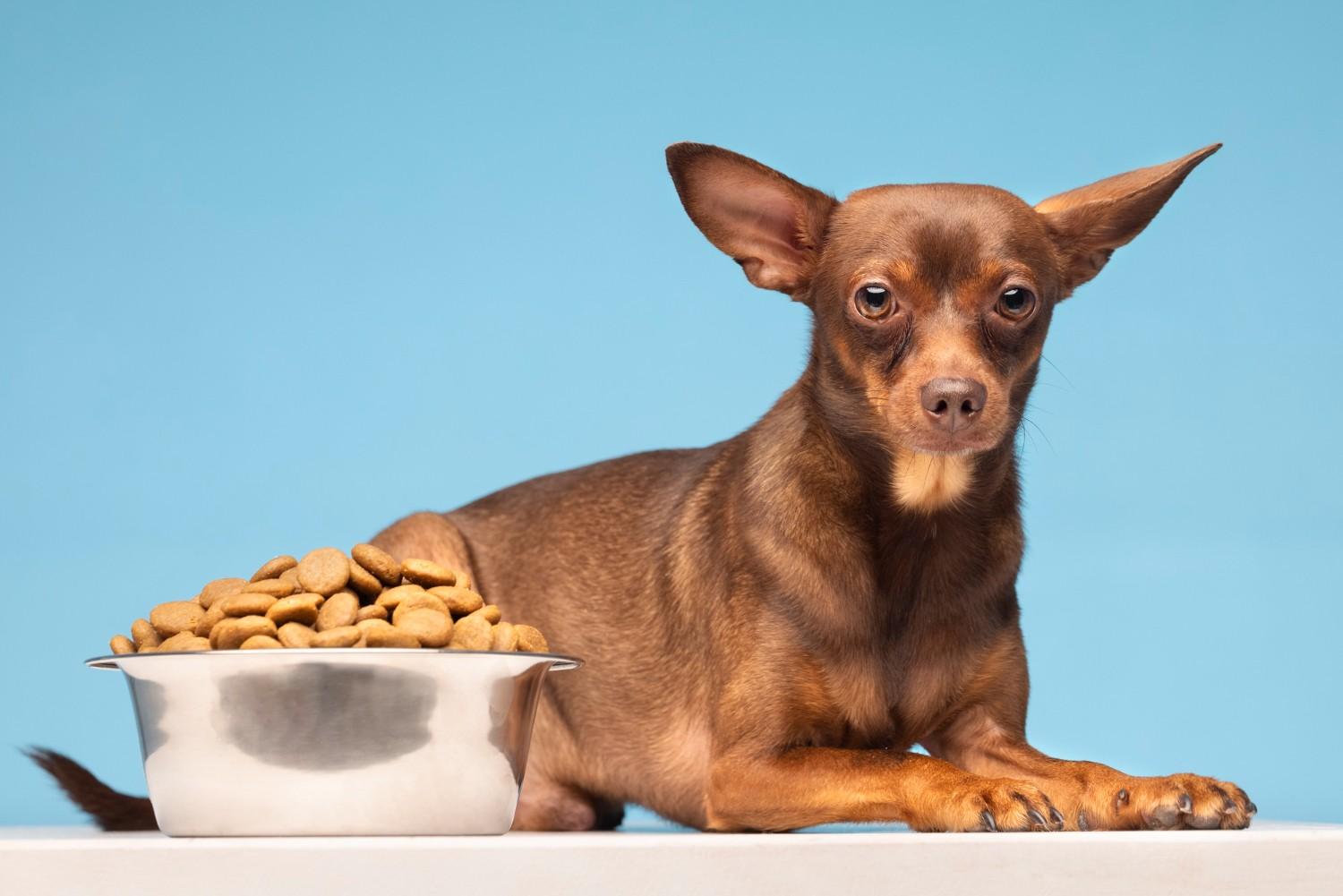 dr marty dog food