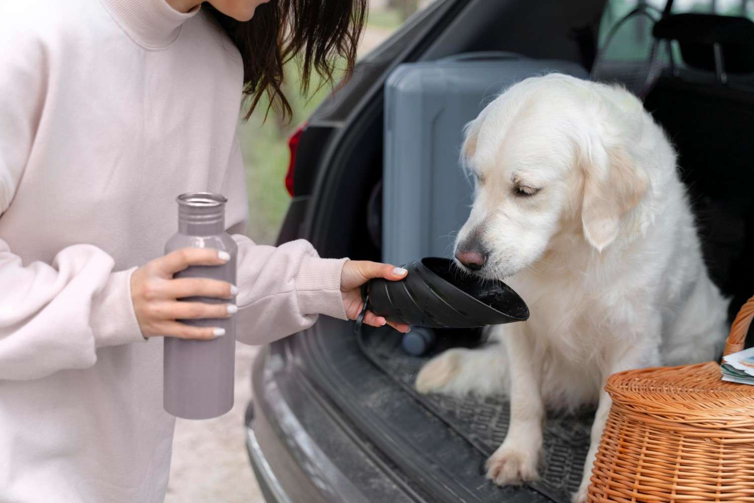 Natural Probiotics for Dogs