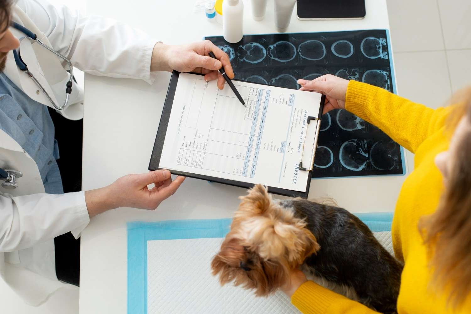 Pet Stress Test