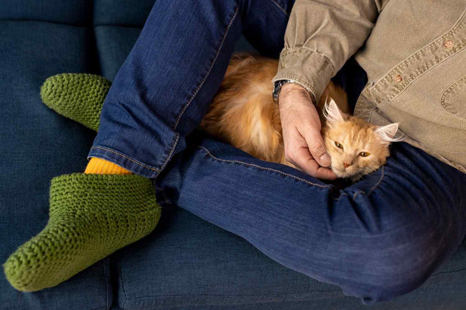 Home Remedies for Cat Constipation