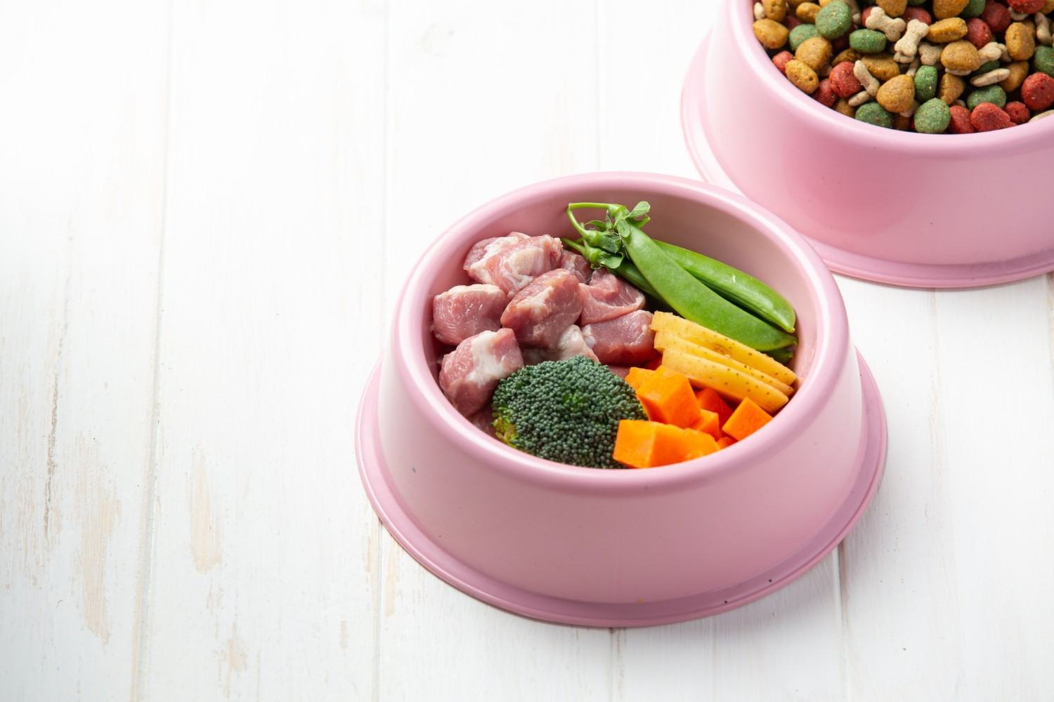 Kidney Diet for Dogs